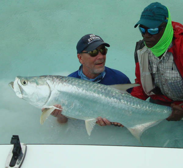 Tarponfishen mit der Fliege